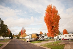 WillametteWineCountryRVPark20