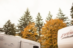 WillametteWineCountryRVPark36